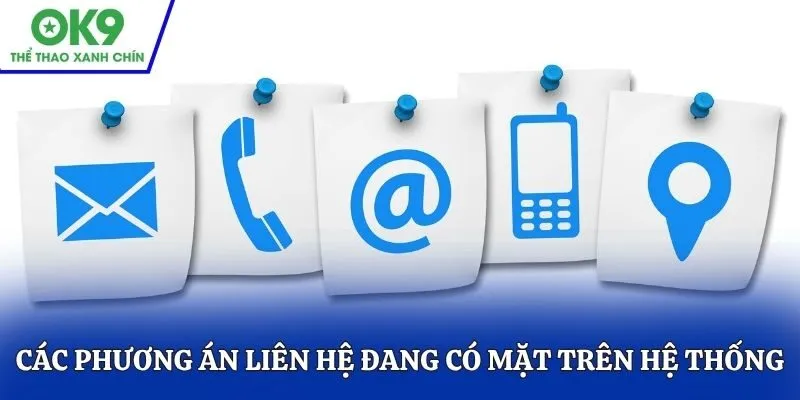 Tổng hợp các phương án liên hệ đang có mặt trên hệ thống