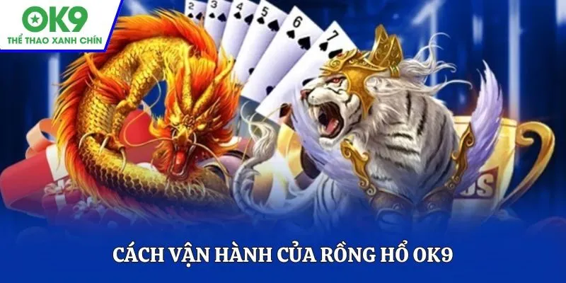 Cách vận hành của Rồng Hổ OK9