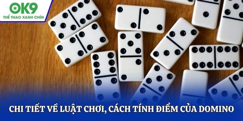 Chi tiết về luật chơi, cách tính điểm của Domino
