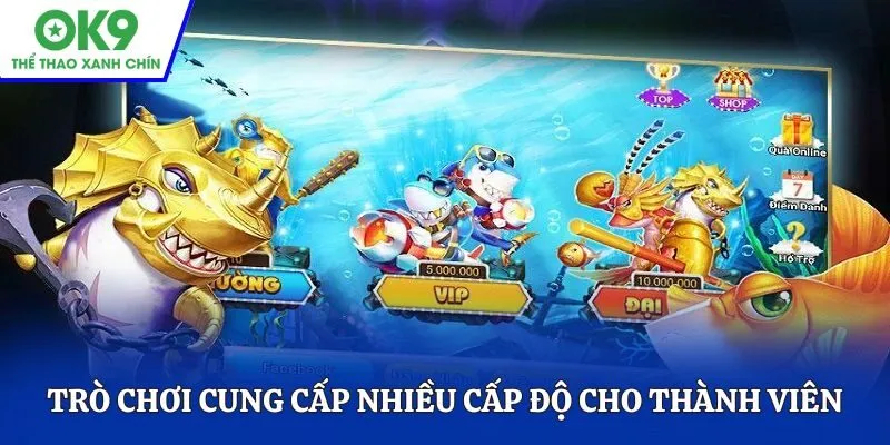 Trò chơi cung cấp nhiều cấp độ cho thành viên lựa chọn