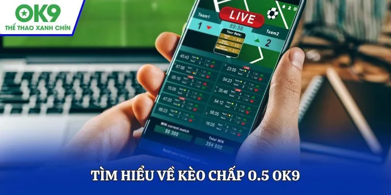 Tìm hiểu về kèo chấp 0.5 OK9
